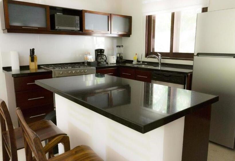 ویلای 1 خوابه, Intima Resort Tulum Adults Only