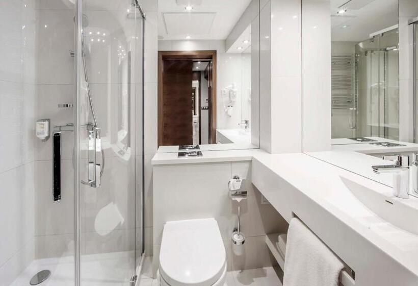 Номер Superior Одноместный, Warszawianka