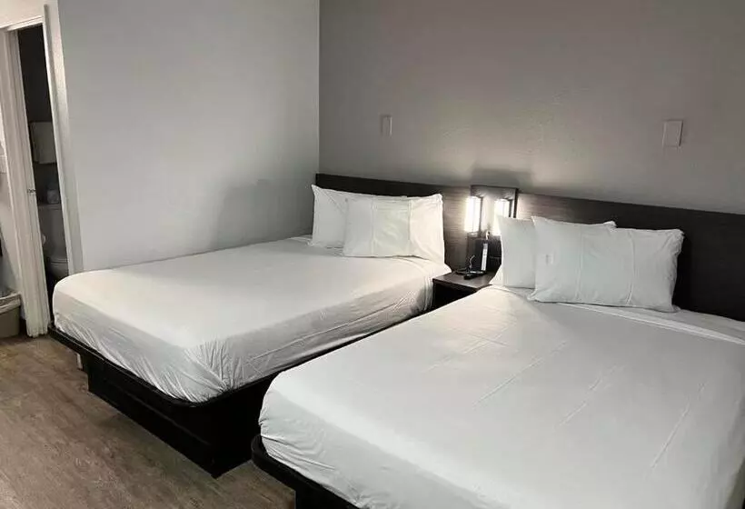 デラックスの4人部屋, Motel 6 Lakeland, Fl