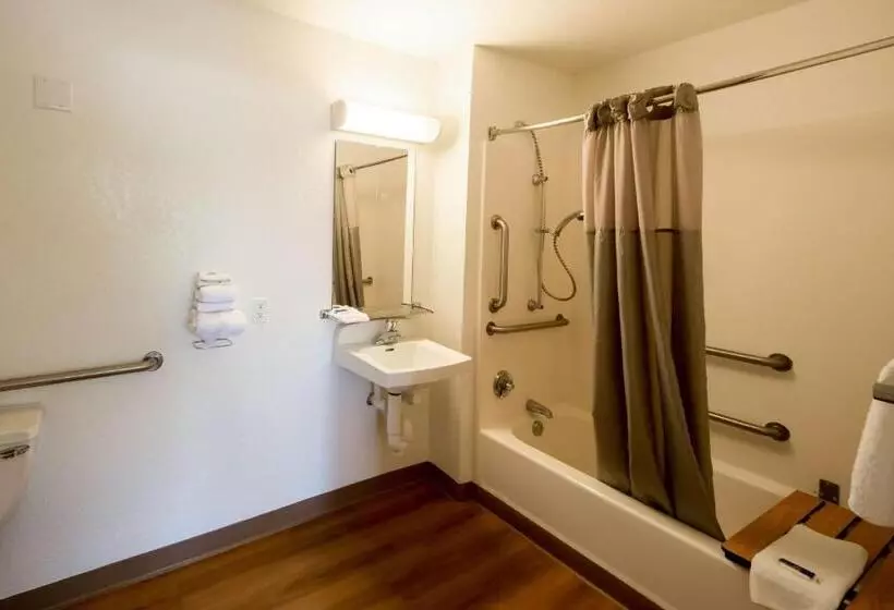 身障者適用スタンダードルーム, Motel 6 Lakeland, Fl