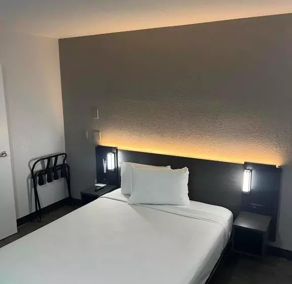 デラックスルーム, Motel 6 Lakeland, Fl