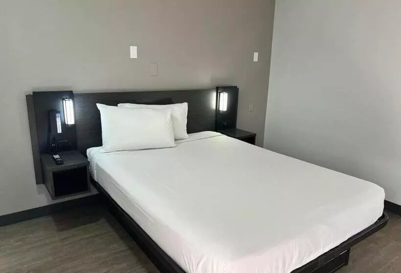身障者適用シングルルーム, Motel 6 Lakeland, Fl