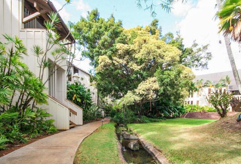 شقة غرفة واحدة, Waikomo Streams 202