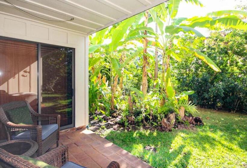 شقة غرفة واحدة, Waikomo Streams 202