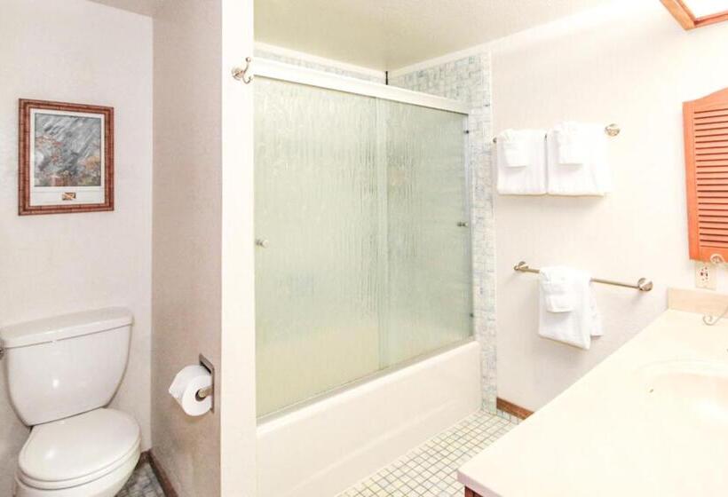 شقة غرفة واحدة, Waikomo Streams 202