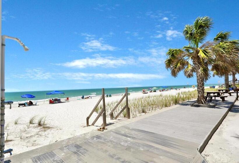 2ベッドルームアパートメント, 2 Bed 2 Bath Apartment In Tampa Bay