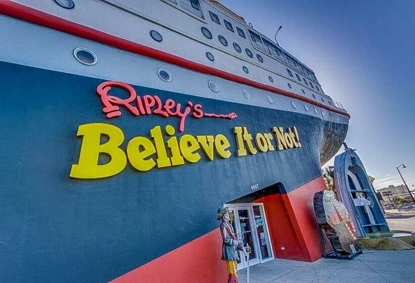 شقة غرفتين, Emerald Shores #3001