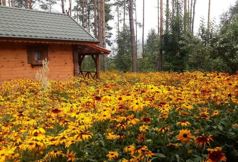 Шале 1 Спальня, Sosenka