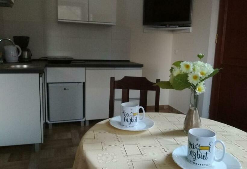 סוויטת ג'וניור עם טרסה, Koci Grzbiet Agroturystyka