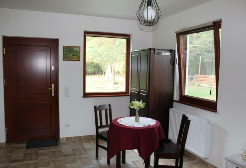 סוויטת ג'וניור עם טרסה, Koci Grzbiet Agroturystyka