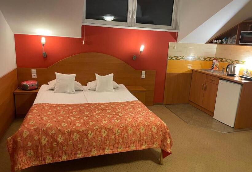 Студия Стандарт, Willa Stenia Center Apartamenty