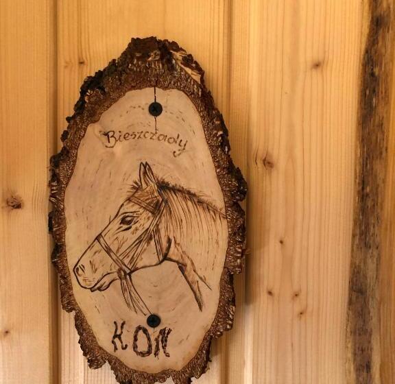 غرفة قياسية, Bieszczadzki Klin Bklin