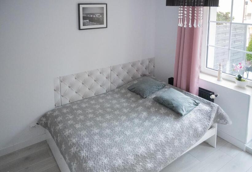 トリプルクラシックルーム, Willa Alan