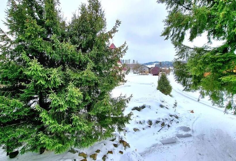 اتاق خانوادگی با چشم‌انداز کوه, Rezydencja Barrettski