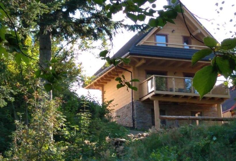 کلبه ییلاقی سوپریور یک خوابه, Rezydencja Barrettski