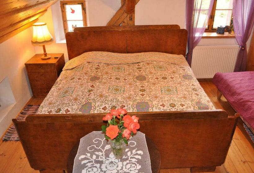 Дом 4 Спальни, Czarnotka