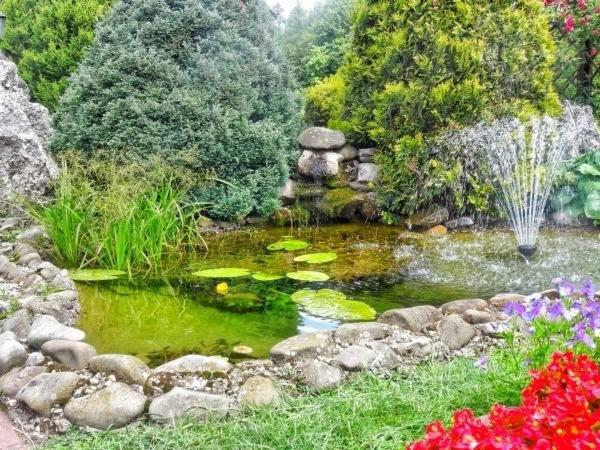 Апартаменты 1 Спальня с Террасой, Skalny Apartamenty, Pokoje