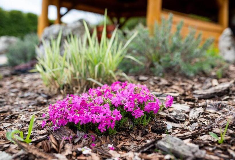 Апартаменты 1 Спальня, Skalny Apartamenty, Pokoje