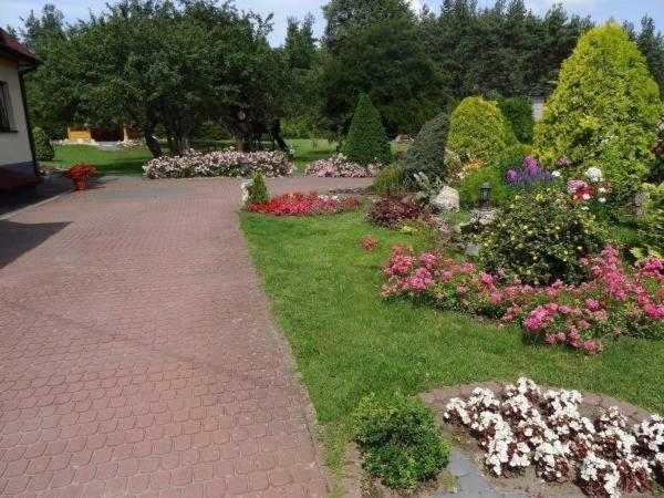 Апартаменты 1 Спальня Вид на Сад, Skalny Apartamenty, Pokoje