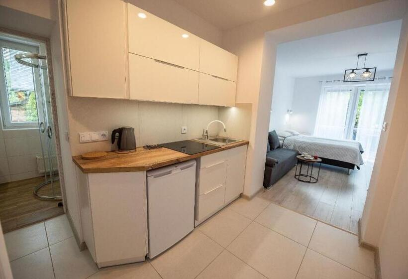 Апартаменты 1 Спальня с Террасой, Skalny Apartamenty, Pokoje