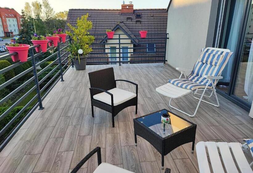 Suite with Terrace, 4 Foxes