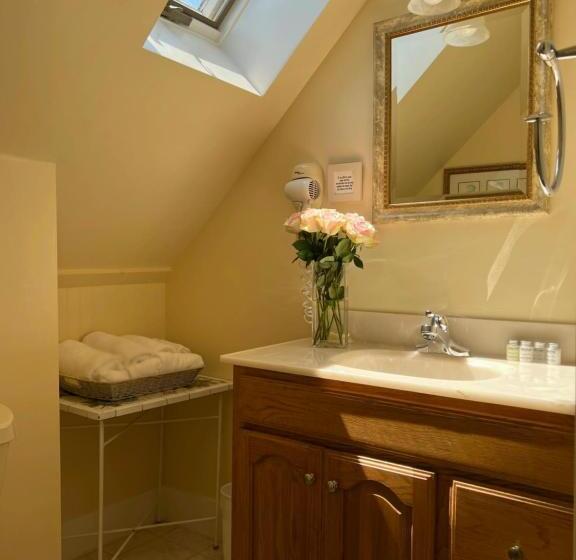 스탠다드 룸 퀸사이즈 침대, Lotus Provincetown