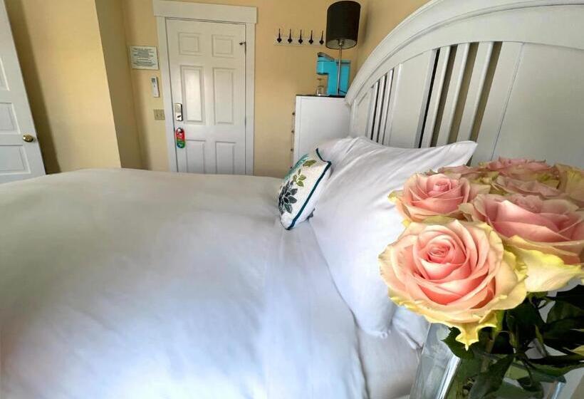 스탠다드 룸 퀸사이즈 침대, Lotus Provincetown