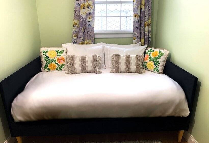 이코노미 룸, Lotus Provincetown