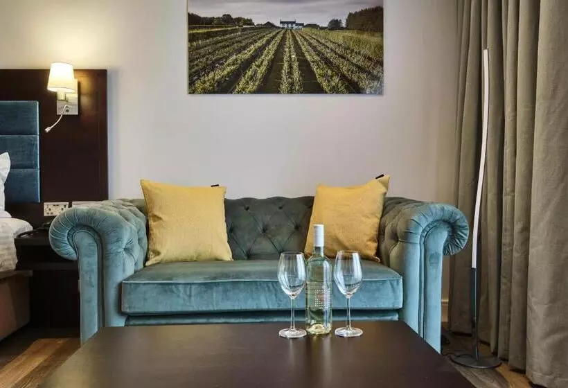 身障者適用キングサイズベッドルーム, Llanerch Vineyard