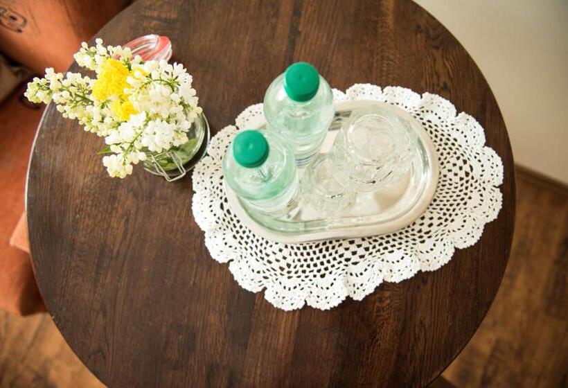 חדר סטנדרט נוף לגינה, Lodownia