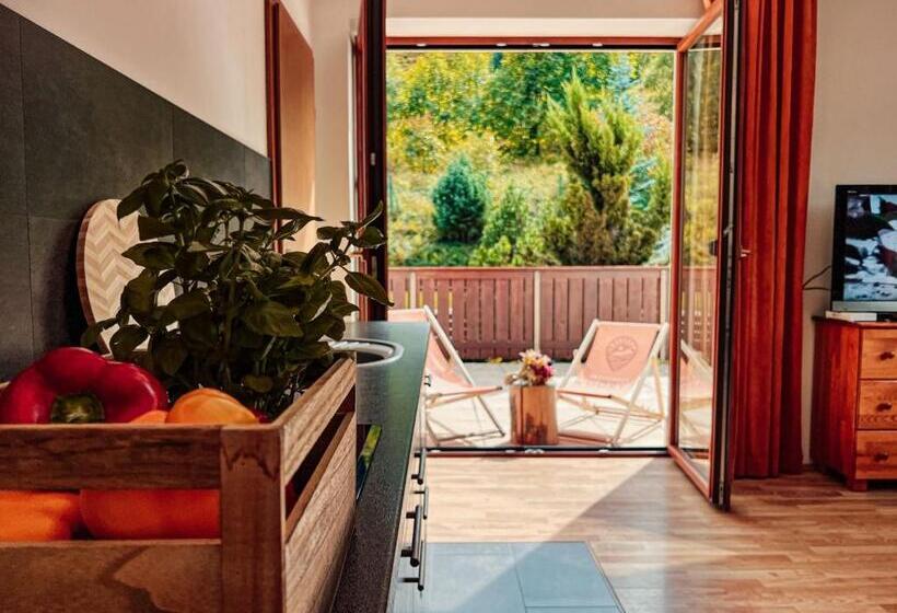 استودیو استاندارد با تراس, Przystanek Góry