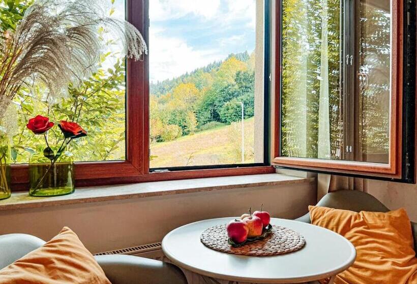 اتاق استاندارد, Przystanek Góry