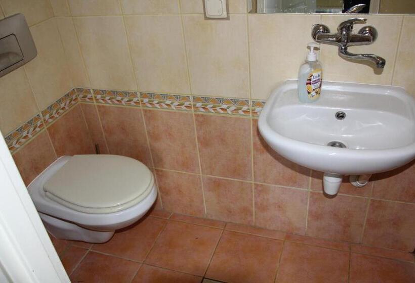 اتاق اکونومی, Pensjonacik Elmi