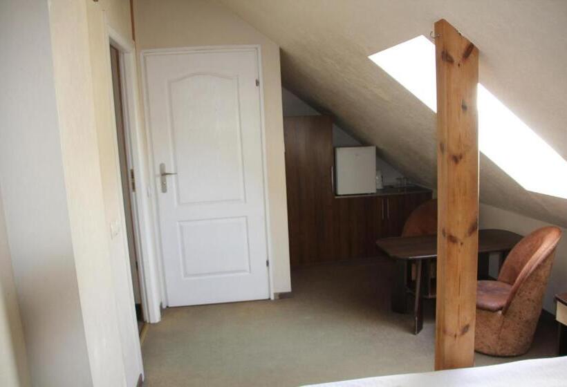 اتاق لوکس, Pensjonacik Elmi