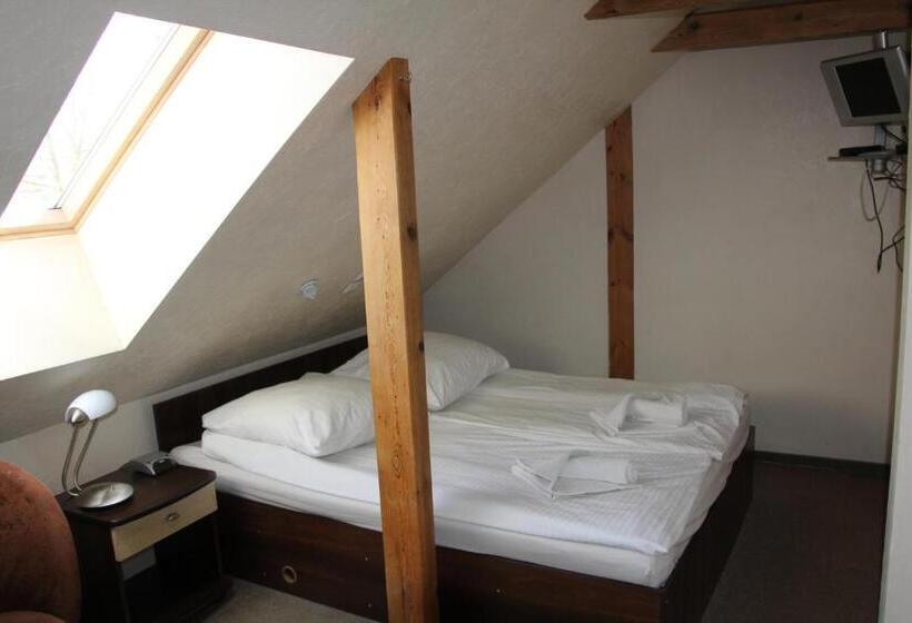 اتاق لوکس, Pensjonacik Elmi