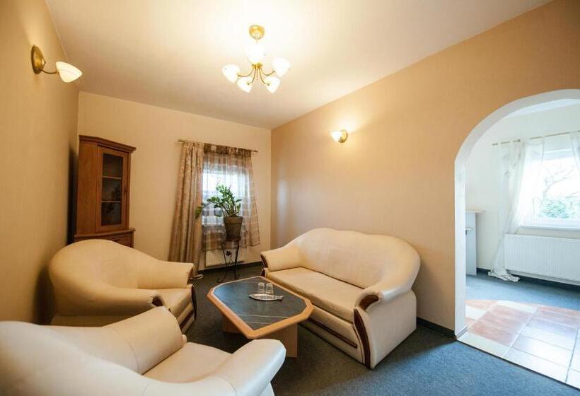 带1个卧室的公寓, Gościniec Pod Furą