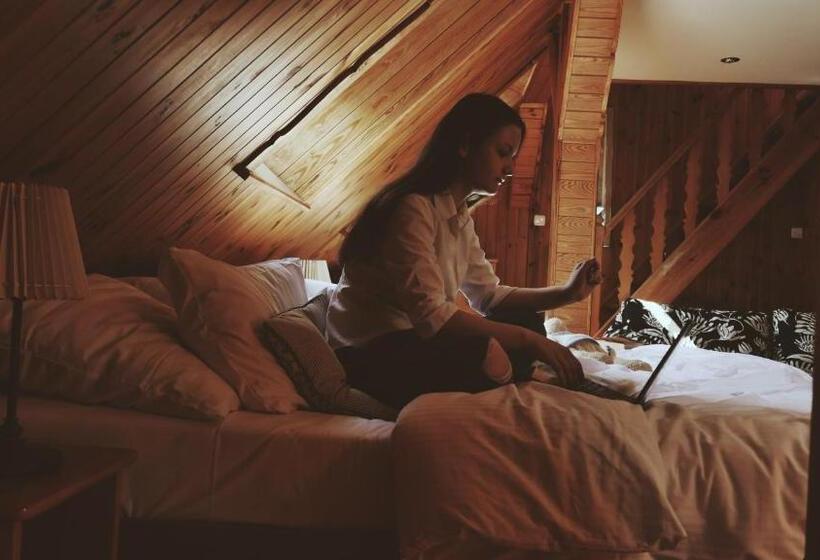 חדר סטנדרט לארבעה, Kamienica Sporting