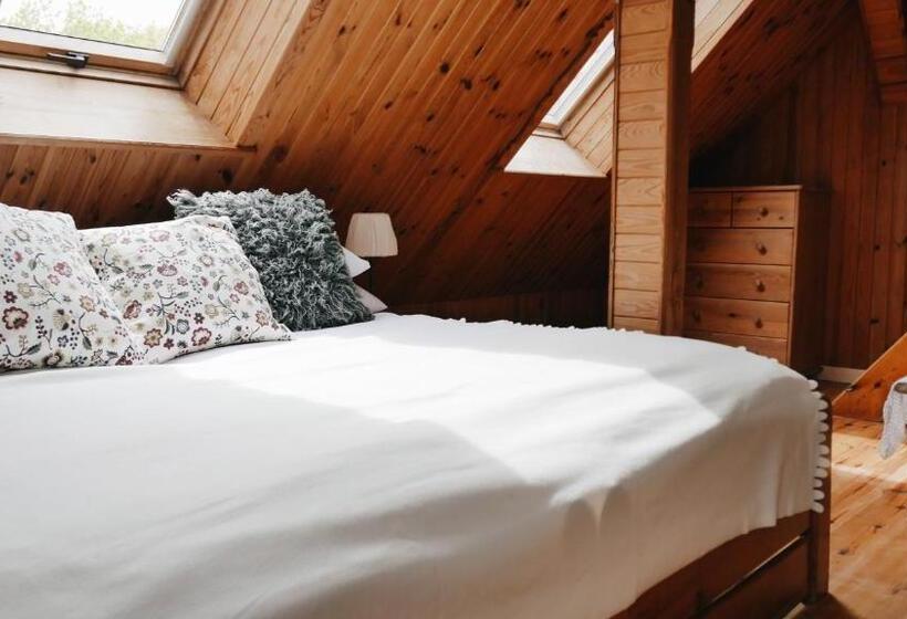 חדר סטנדרט לארבעה, Kamienica Sporting