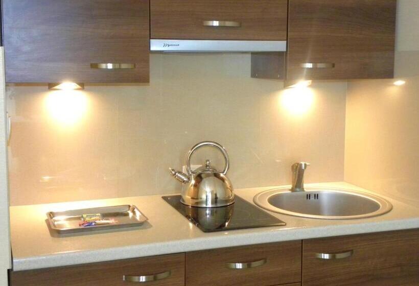 חדר סטודיו סטנדרד, Villa Orlik