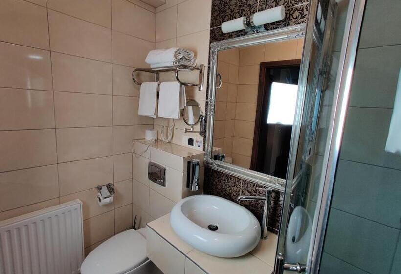 スタンダードシングルルーム, Belweder