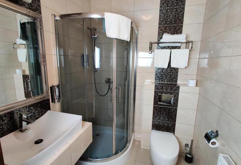 キングサイズベッドのスタンダードルーム, Belweder