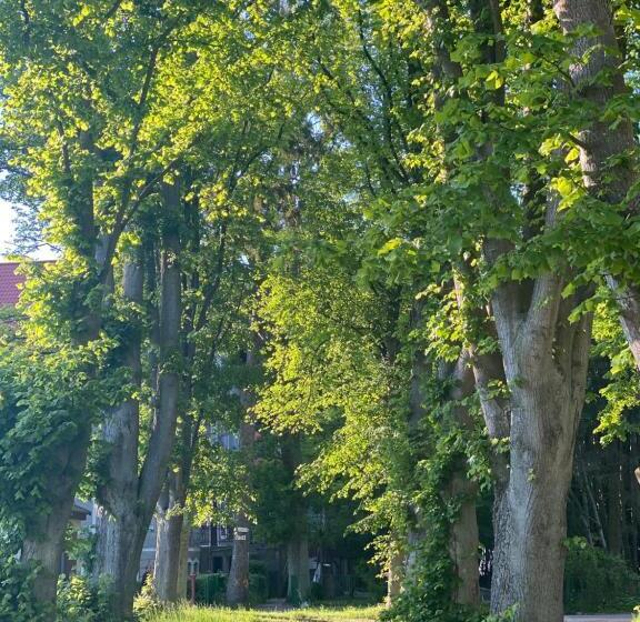 Номер Deluxe Одноместный, Holiday Siesta Pensjonat, Domki