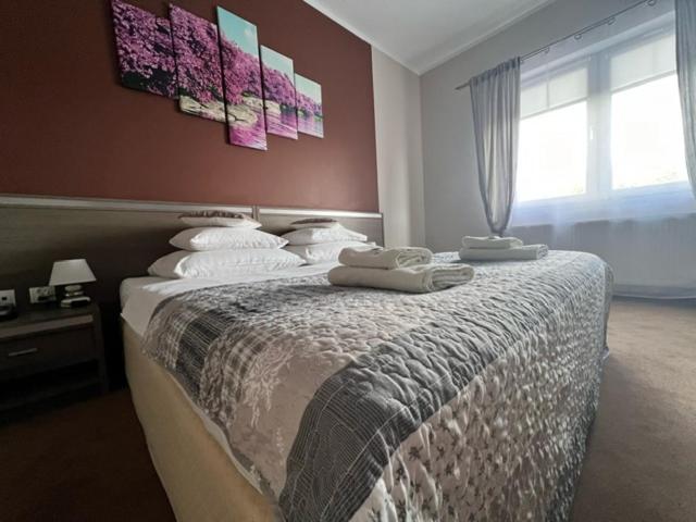 Номер Стандарт Индивидуальный, Magnolia Hotel&restauracja