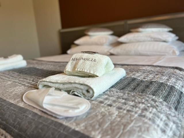 غرفة قياسية فردية, Magnolia Hotel&restauracja