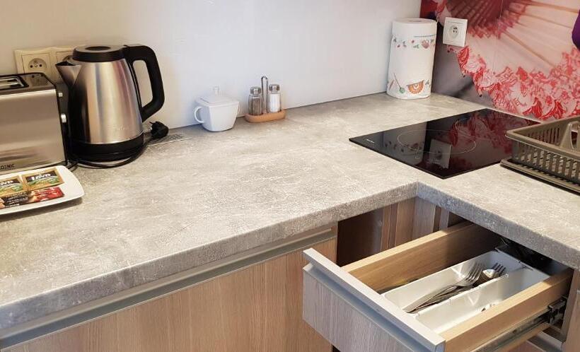 اتاق عادی, Metropolis Apartamenty Centrum