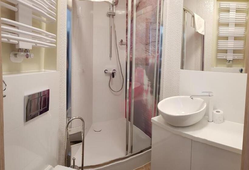 اتاق عادی, Metropolis Apartamenty Centrum