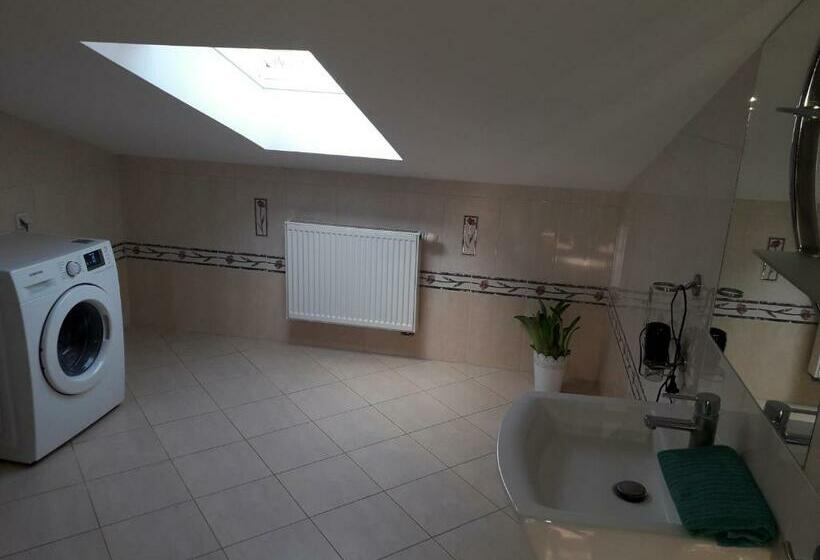 اتاق استاندارد, Horyzont