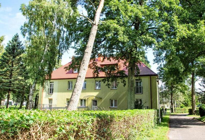 غرفة قياسية فردية, Rewita Mielno