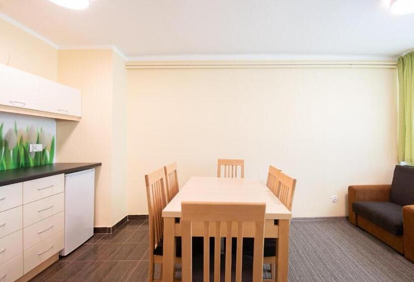 إستوديو سوبيريور, Rewita Mielno