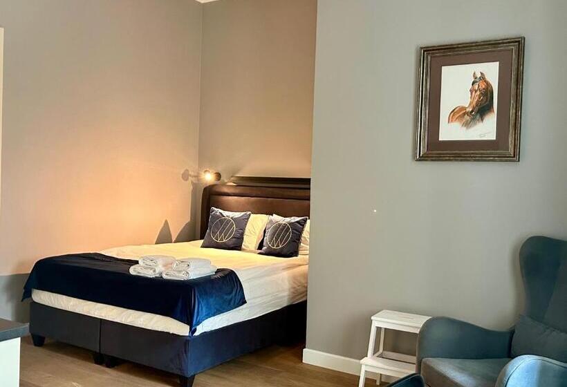 דירת חדר דלוקס, Warsaw Concept